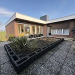 Stranddistel 3 *