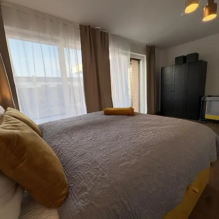 Stranddistel 3 * דאהמה